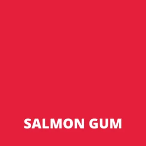 LANDSCAPES VERF SALMON GUM | ZIJDE EN WOL VERVEN