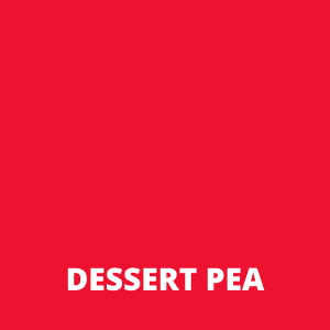 Alternative view of Dessert pea