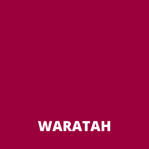 Alternative view of Waratah