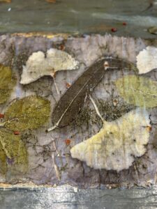 ECOPRINTEN MET TANNINE EN IJZER. HENNA TANNINE