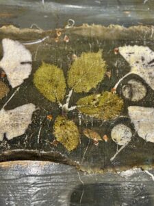 granaatappel tannine, ecoprint, natuurlijk verven