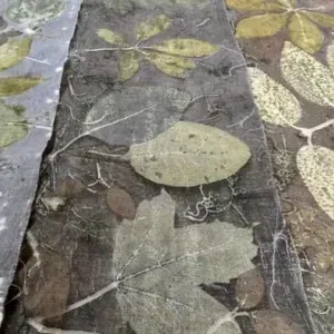 Myrobalan tanninepoeder voor ecoprint en natuurlijk verven.