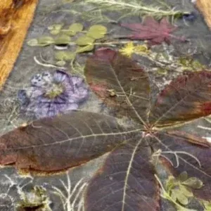 tannine voor ecoprint en natuurlijk verven.