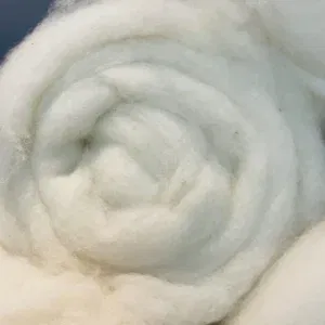 Kaardvlies van bergschaap (1 kg). Sterke, ruwe wol voor natvilten, droogvilten, vormvilten en spinnen. Voor vloerkleden en vilten uit de vacht.