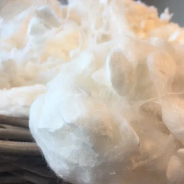Zijdecocons zonder zijdelijm - Afbeelding 2