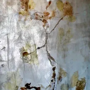 Moerbeizijdelont voor vilten, ecoprinten, spinnen en verven.