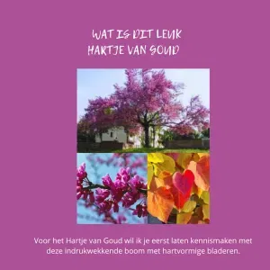 Ecoprint met Landscapes kleuren | Ecoprinten met kleur