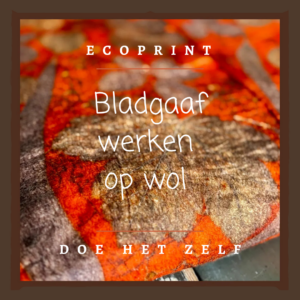 Ecoprint op wol – doe-het-zelf pakket met e-book en materialen
