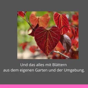 Ecoprint auf Satinseide – DIY-Set