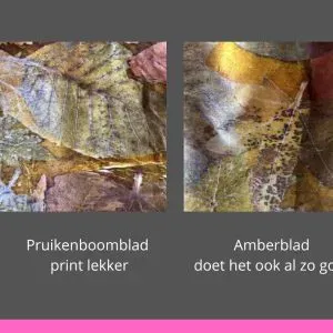 ecoprint op zijde. doe het zelf pakket