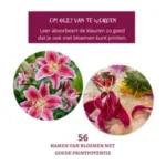 Ecoprint op leer, compleet doe-het-zelf pakket e-boek en materialen