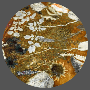 Doe-het-zelf: Ecoprint op leer