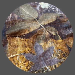 Doe-het-zelf: Ecoprint op wol