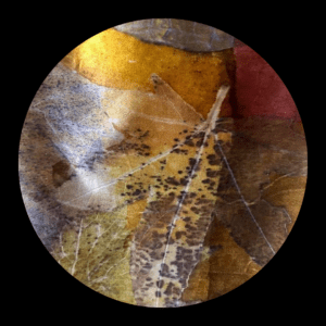 Eboek - Bladgoud op Satijnzijde - Duits