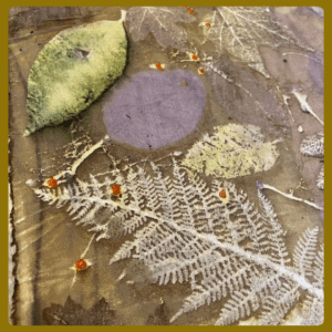 Gratis eboek - Tannine wijzer met IJzer - Engels