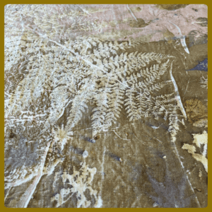 Gratis eboek - Tannine wijzer met IJzer - Spaans