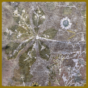 Gratis eboek - Tannine wijzer met IJzer - Italiaans