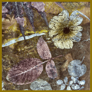 E-book - Ecoprint auf Leder | Botanisches Drucken auf Leder