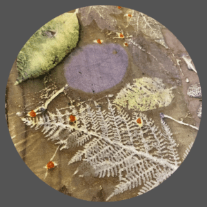 ecoprint op zijde, wol, linnen en leer. ecoprinten met tannine en ijzer