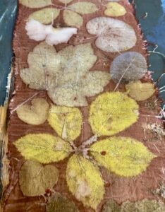 Ecoprint met Landscapes verf voor katoen en linnen