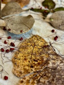 Orleaanzaad, annatto, ecoprinten, natuurlijk verven