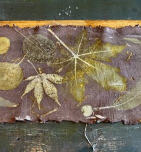 Acacia tannine extraxt, voor ecoprint en natuurlijk verven