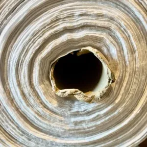 French terry, ecoprint kleurlakens