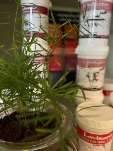 Landscapes verf voor zijde en wol | kleuren en toepassingen