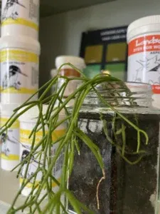 Landscapes verf voor zijde en wol | kleuren en toepassingen