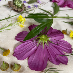 ecoprinten met bladeren en bloemen op leer