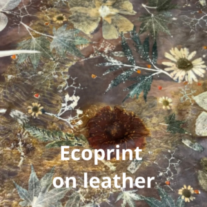 Wil je ecoprint leren? Ontdek hoe je met bladeren, bloemen en natuurlijke verfstoffen unieke prints maakt op stof. 