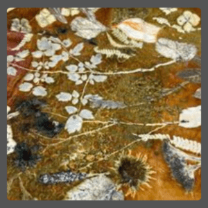 Volg een workshop ecoprint op leer. Ontdek hoe je kan ecoprinten met bladeren, bloemen en natuurlijke kleurstoffen op leer.