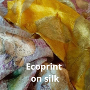 Wil je ecoprint leren? Ontdek hoe je met bladeren, bloemen en natuurlijke verfstoffen unieke prints maakt op stof. 