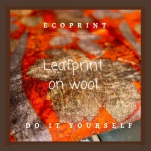 Wil je ecoprint op wol leren? Ontdek hoe je scherpe bladafdrukken maakt op wol. Leer werken met een beitsrecept, vilten en ecoprinten.